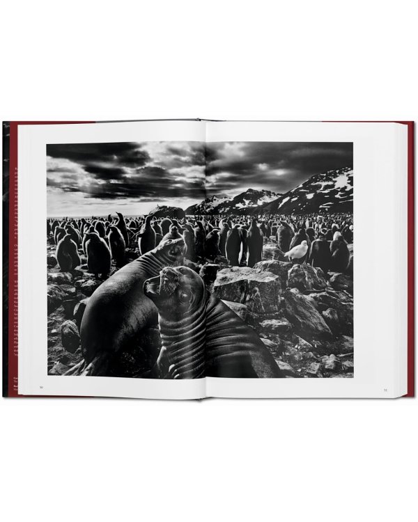 Sebastiao Salgado. Genesis