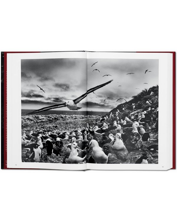 Sebastiao Salgado. Genesis