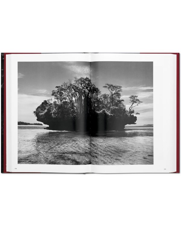 Sebastiao Salgado. Genesis