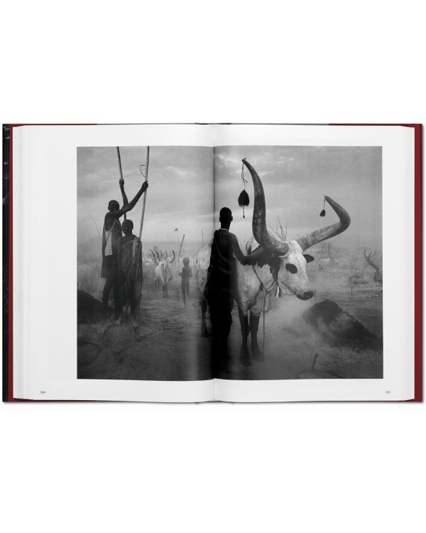 Sebastiao Salgado. Genesis