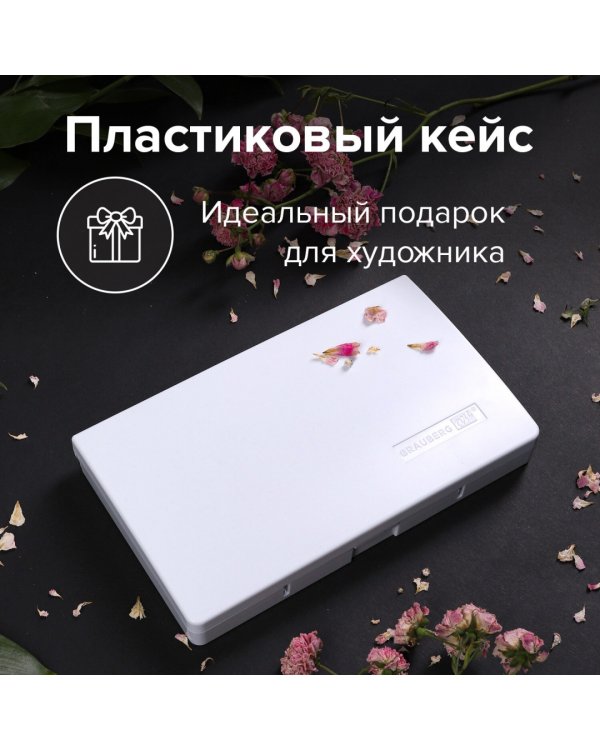 Акварель художественная, 24 цвета, в кюветах