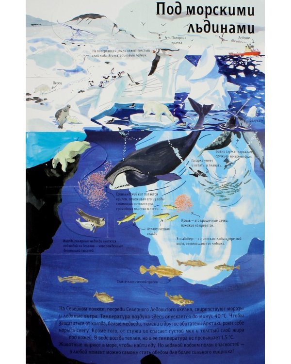 Вокруг света. Над землей и под землей