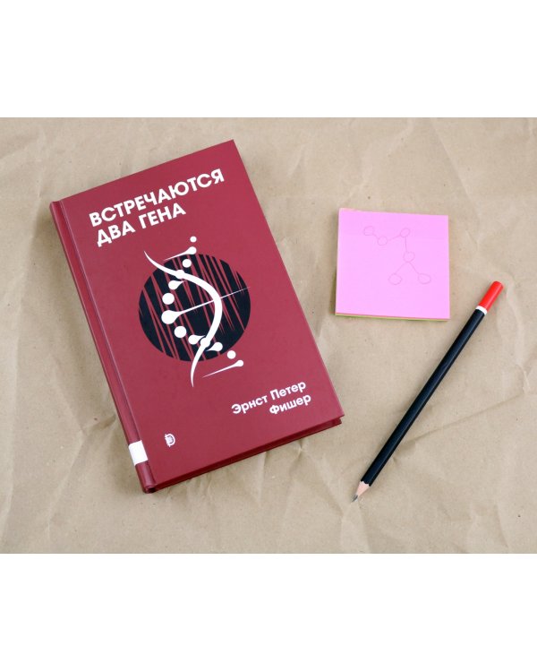 Встречаются два гена. Что такое гены и как они влияют на нашу жизнь