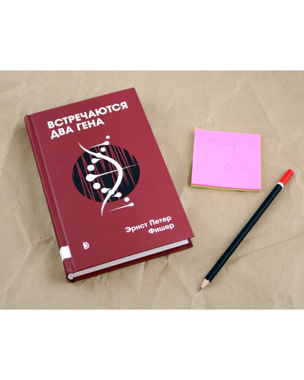 Встречаются два гена. Что такое гены и как они влияют на нашу жизнь