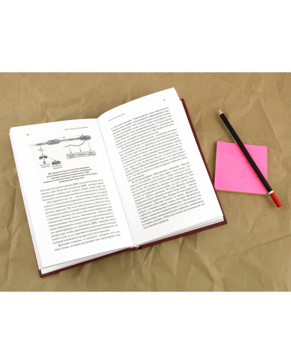 Встречаются два гена. Что такое гены и как они влияют на нашу жизнь