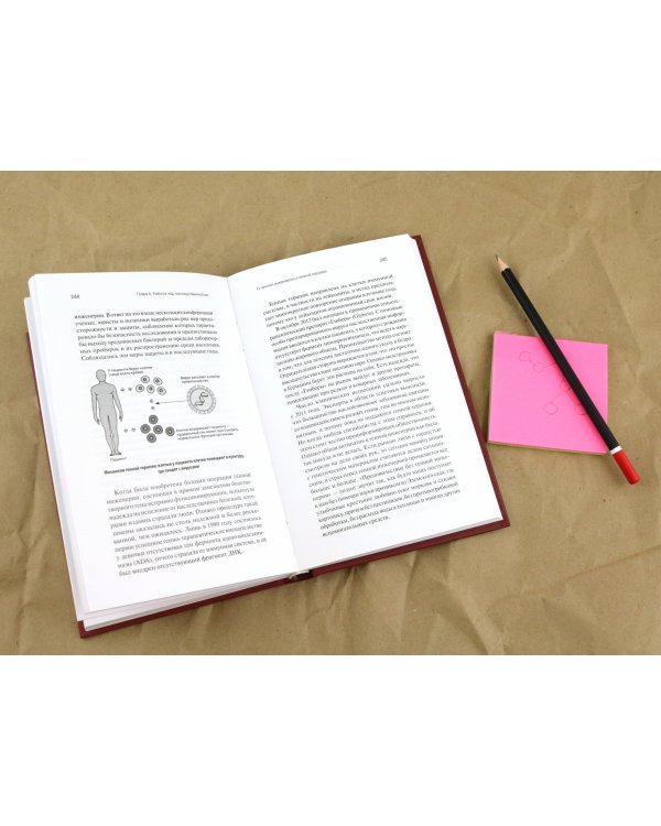 Встречаются два гена. Что такое гены и как они влияют на нашу жизнь