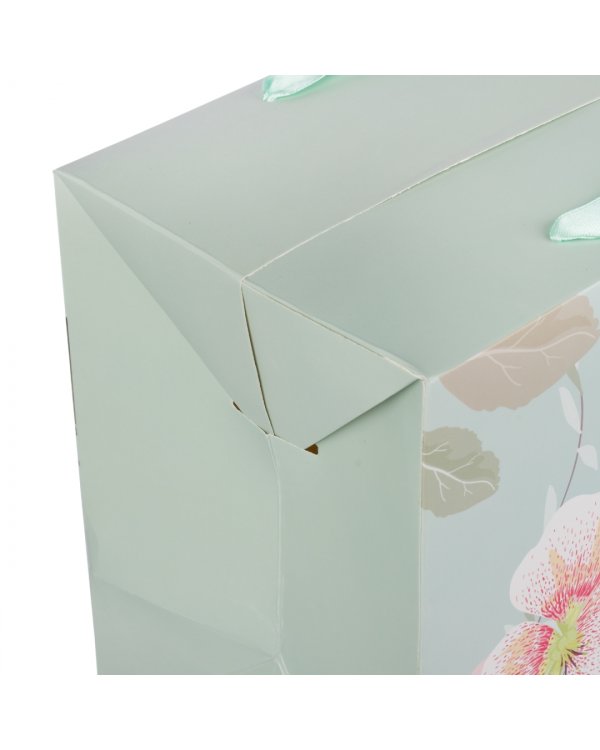 Пакет-коробка подарочный