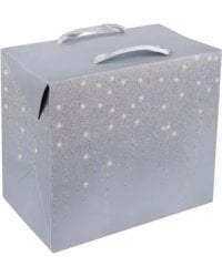 Пакет-коробка подарочный