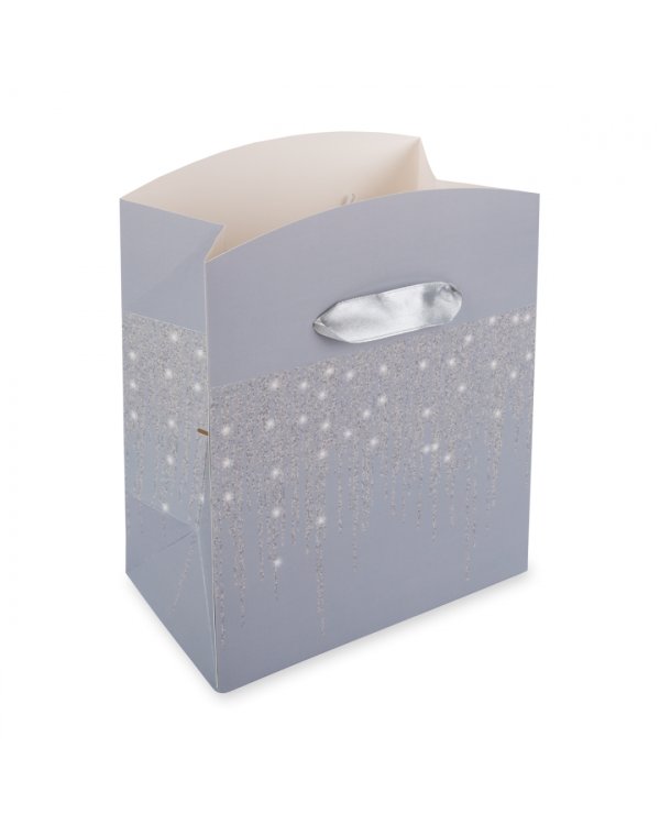 Пакет-коробка подарочный