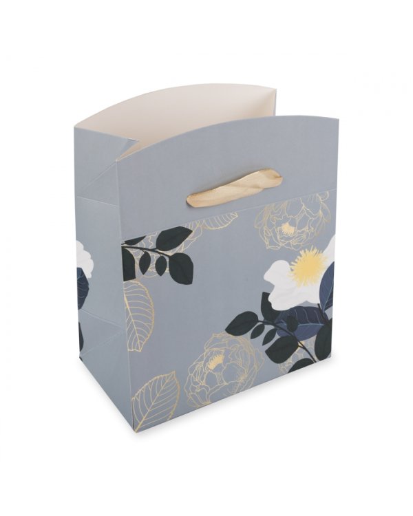 Пакет-коробка подарочный