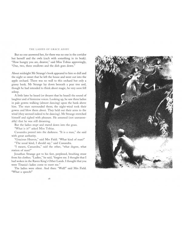 The Ladies of Grace Adieu and other stories