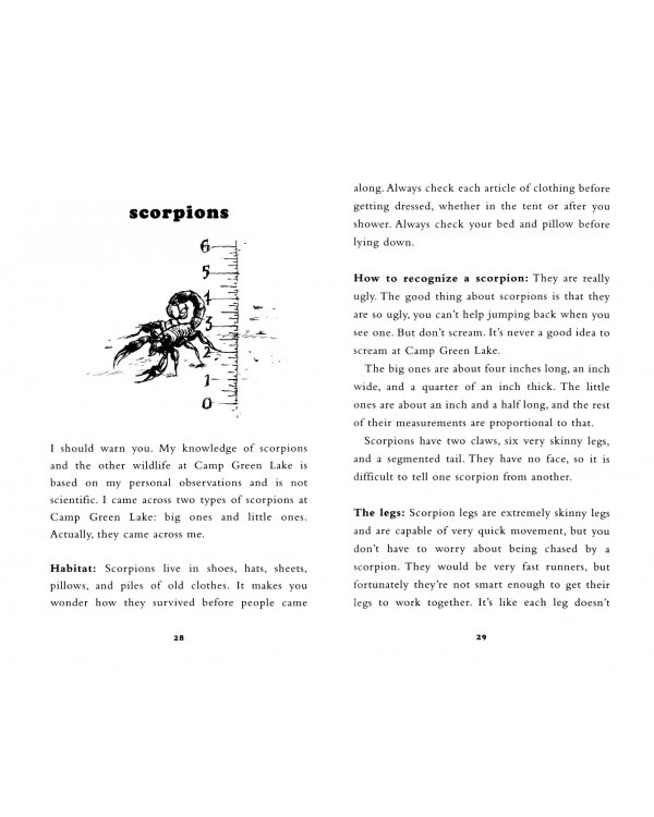 Stanley Yelnats' Survival Guide to Camp Greenlake