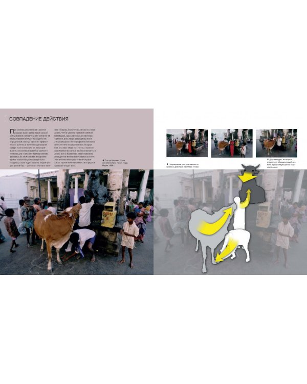 Композиция в цифровой фотографии. Творческие приемы создания удачных фотоснимков