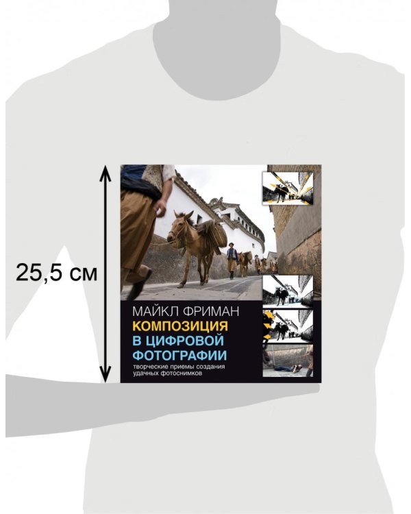 Композиция в цифровой фотографии. Творческие приемы создания удачных фотоснимков