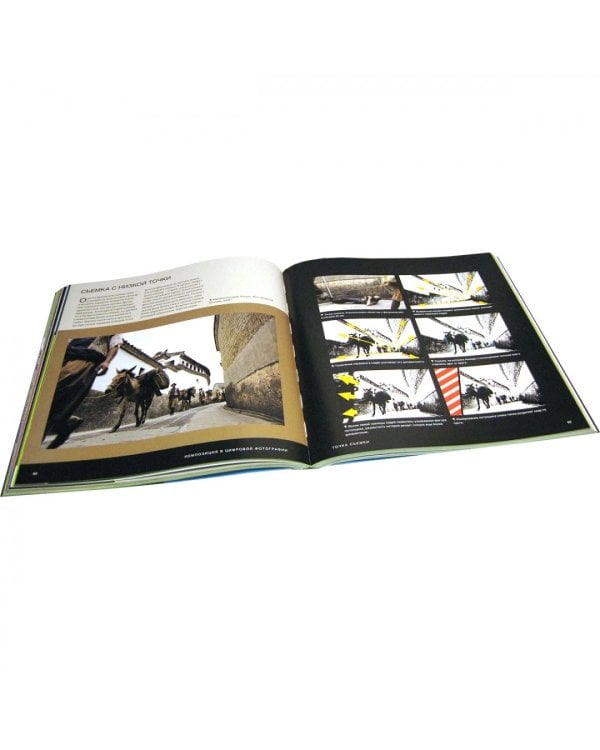 Композиция в цифровой фотографии. Творческие приемы создания удачных фотоснимков