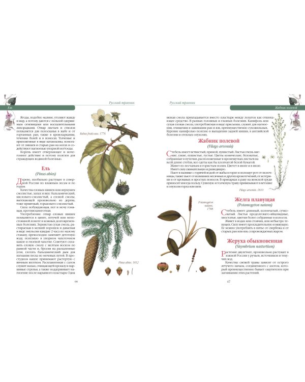 Русский травник