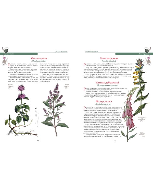 Русский травник