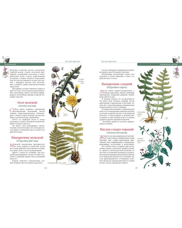 Русский травник