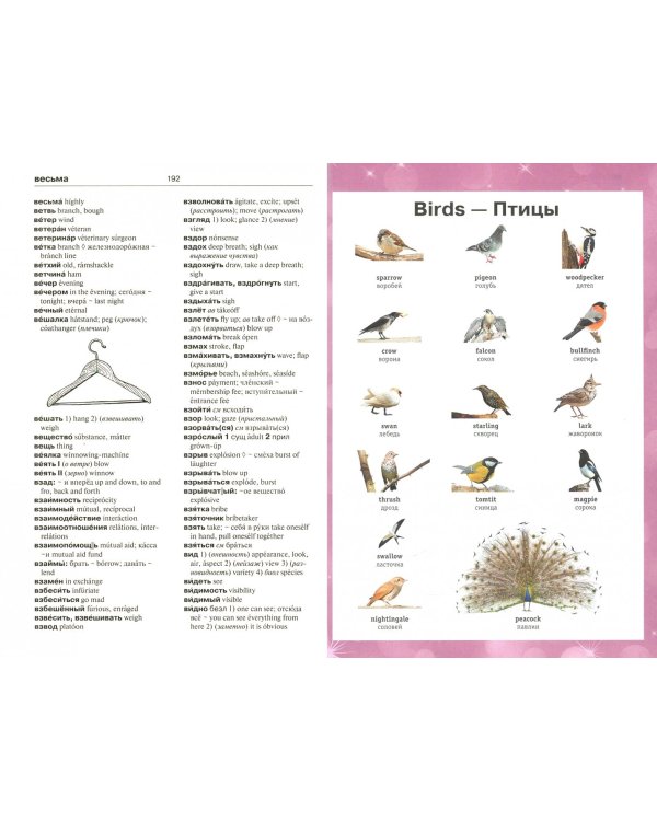 Англо-русский русско-английский словарь с иллюстрациями для школьников