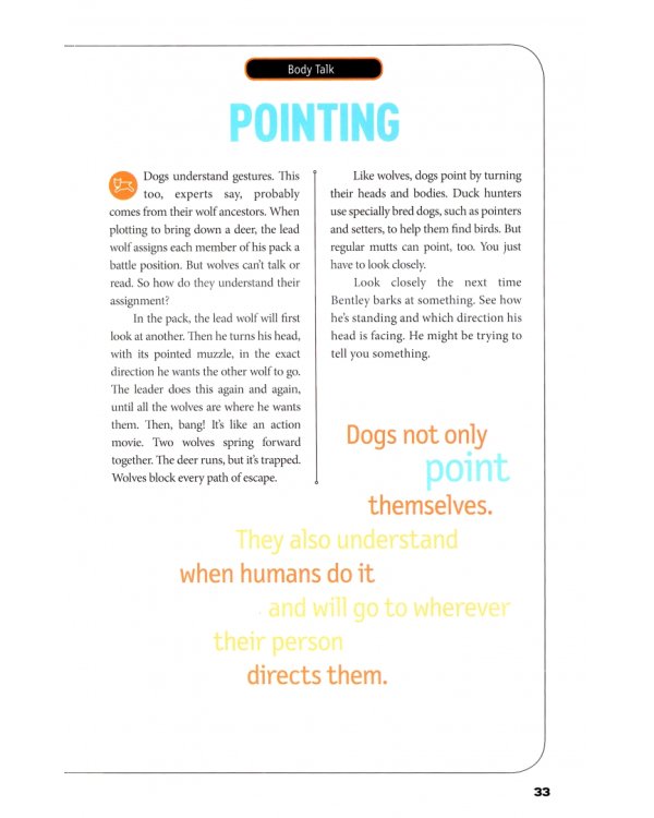 How To Speak Dog. A Guide to Decoding Dog Language