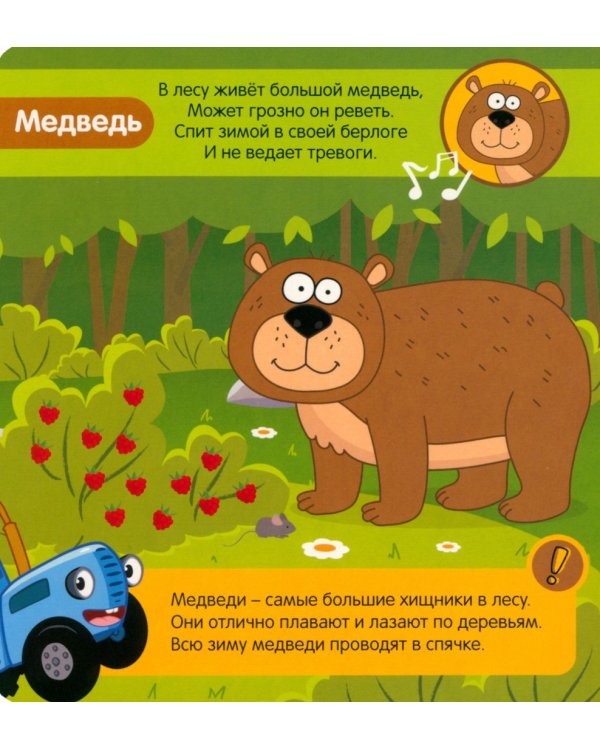 Животные леса. Музыкальная книга. 5 звуков животных