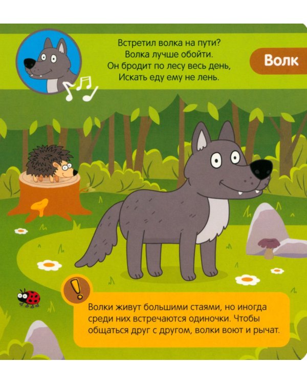 Животные леса. Музыкальная книга. 5 звуков животных