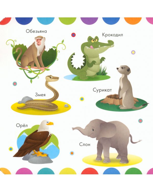 Изучаем животных. Книга с окошками