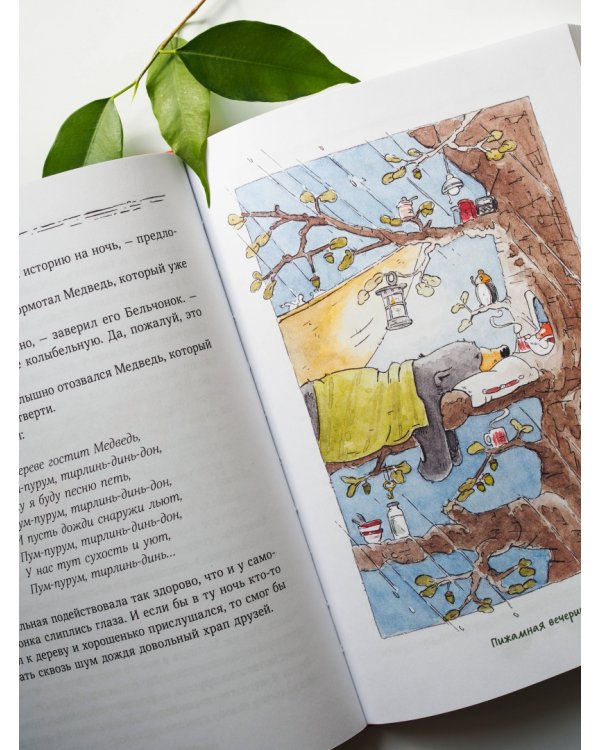 Бельчонок, Медведь и охапка приключений