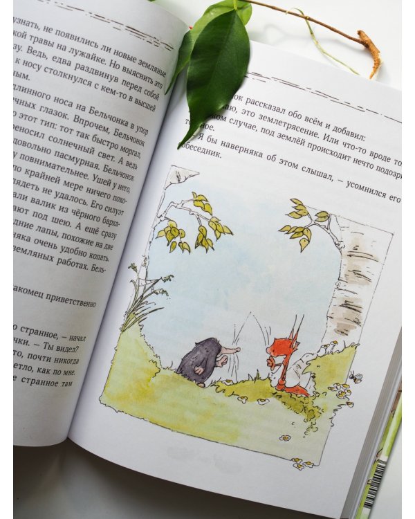 Бельчонок, Медведь и охапка приключений