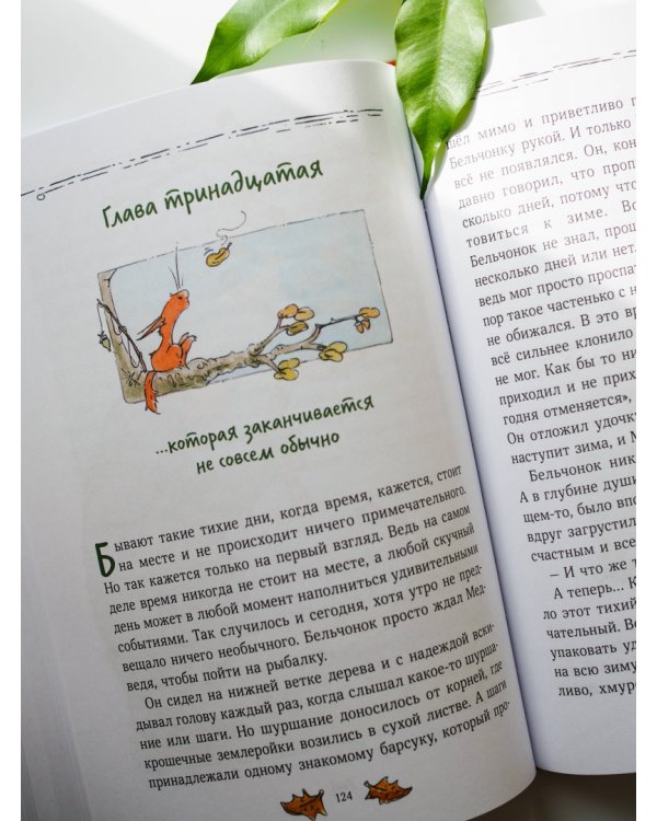 Бельчонок, Медведь и охапка приключений