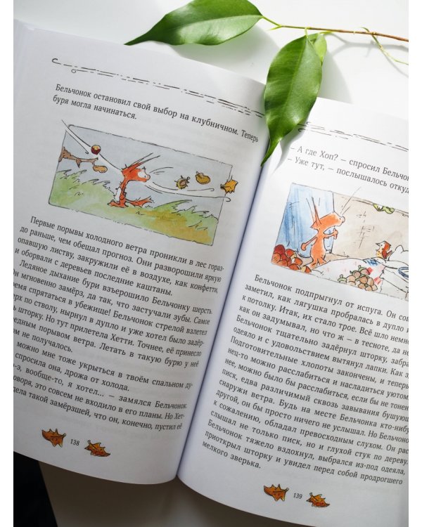 Бельчонок, Медведь и охапка приключений