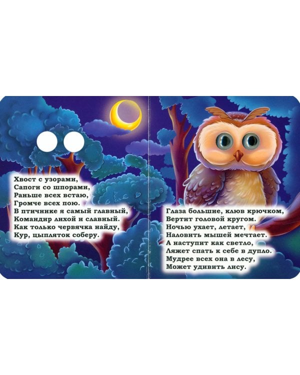 Загадки о животных. Книжка с глазками