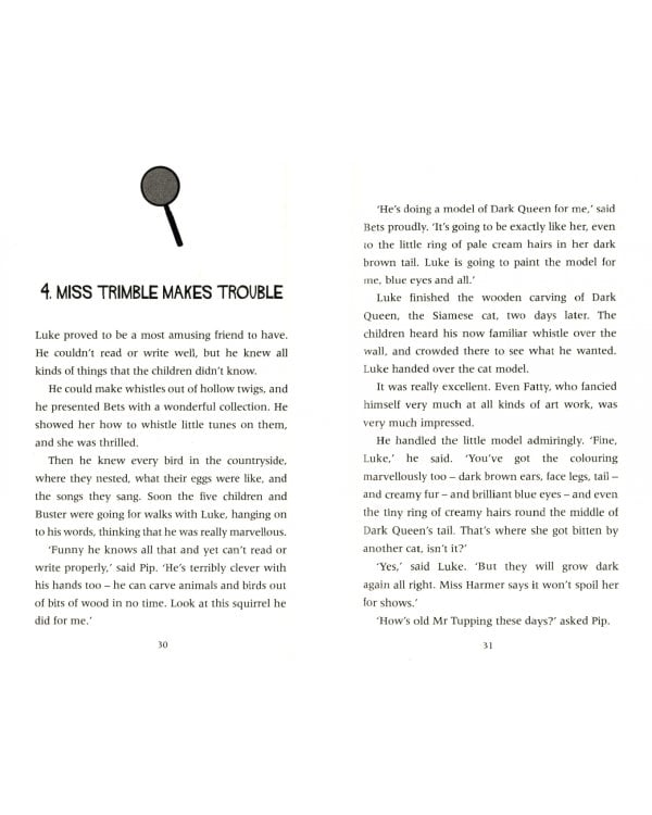 The Mystery of the Disappearing Cat