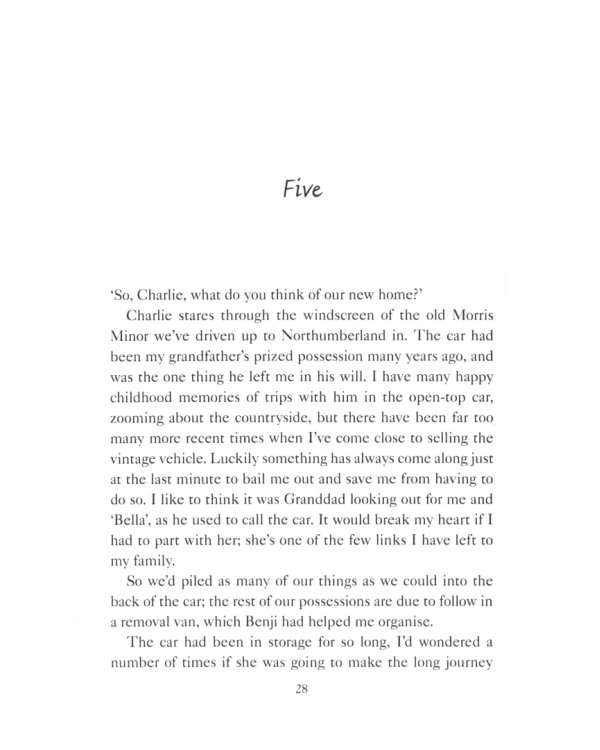 Secrets and Seashells at Rainbow Bay