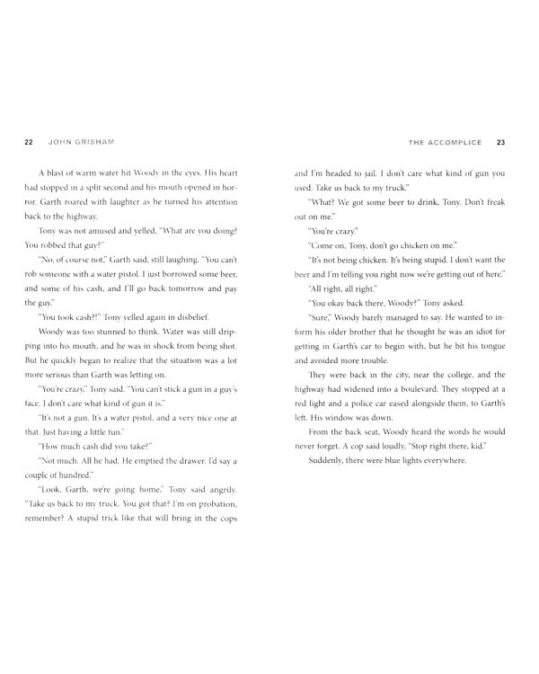 Theodore Boone. The Accomplice