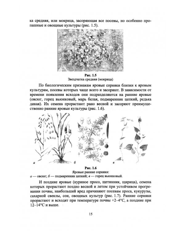 Основы агрономии. Практикум