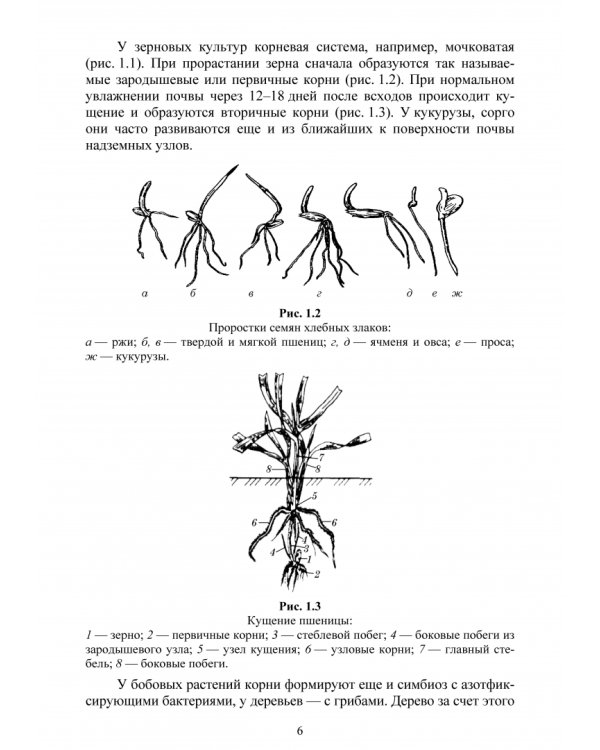 Основы агрономии. Практикум