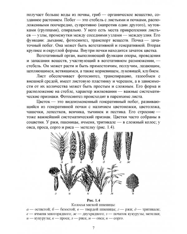 Основы агрономии. Практикум