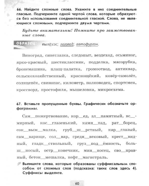 Русский язык. 6 класс. Рабочая тетрадь. Часть 1