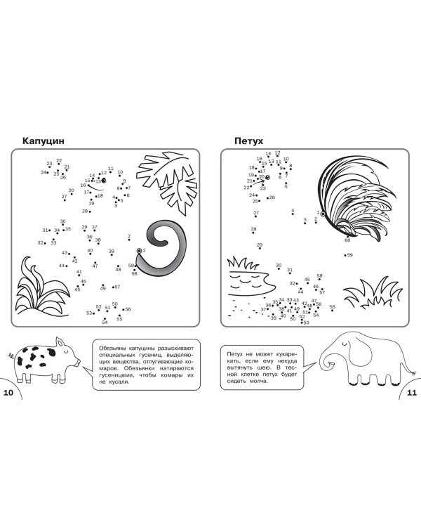 Соедини по точкам. Животные