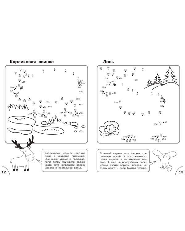 Соедини по точкам. От простого к сложному