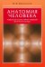 Анатомия человека. Учебник для высших учебных заведений физической культуры