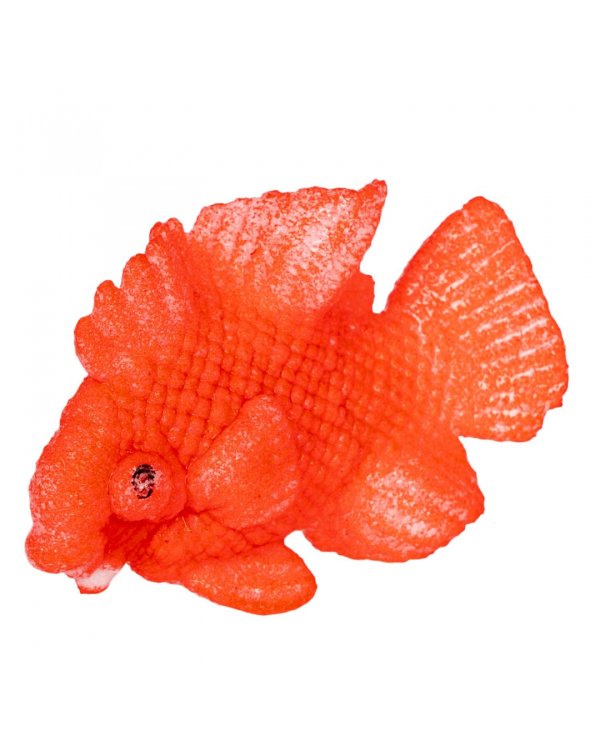 Растущие в воде животные. Вырасти рыбку, яйцо жёлтое