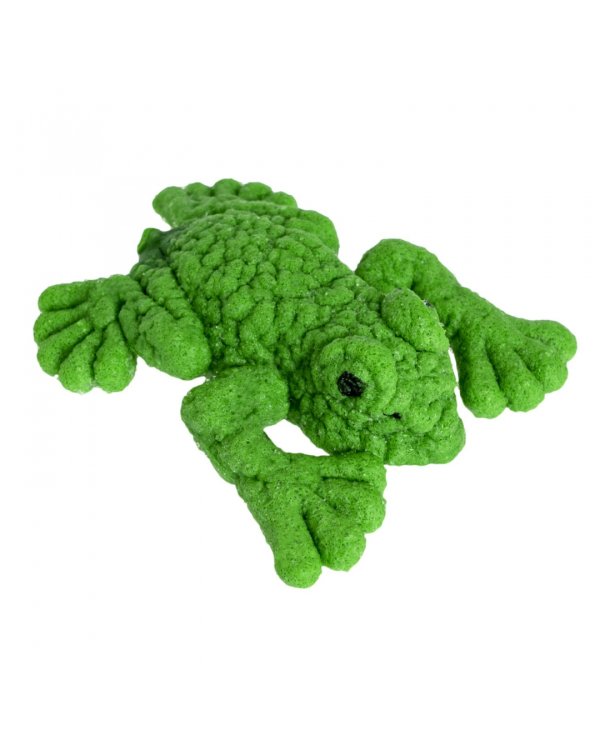 Растущие в воде животные. Вырасти лягушку, зеленое яйцо