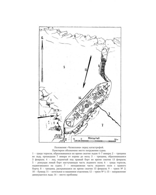 В тени первых Героев. Белые пятна челюскинской эпопеи