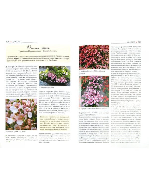 Однолетние и многолетние декоративные растения. Иллюстрированный атлас