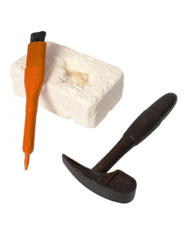 Набор палеонтолога. Динозавры 3 в 1. Велоцираптор