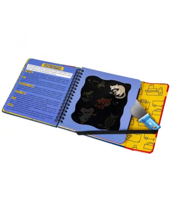 Мини-игры в дорогу для малышей. Что скрывает темнота, с фонариком