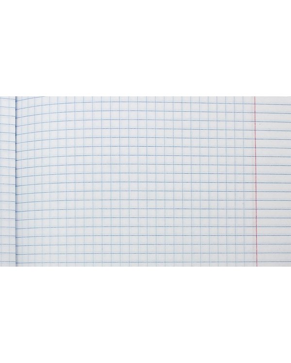 Тетрадь Цветочные силуэты, 48 листов, в ассортименте