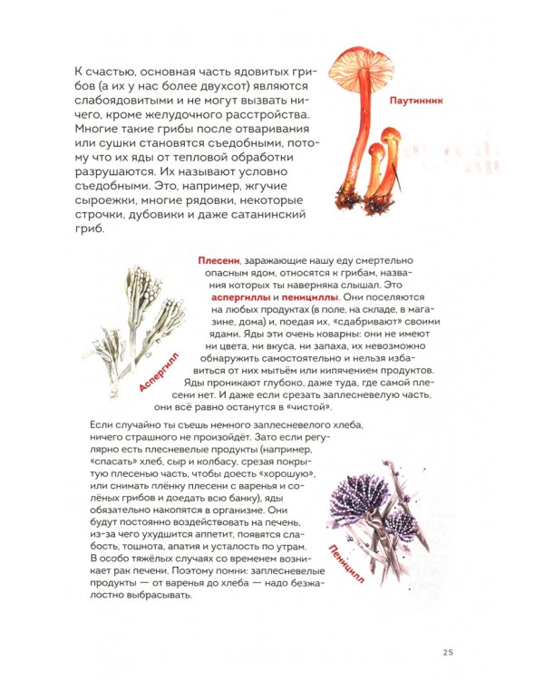 Грибы. Атлас-определитель